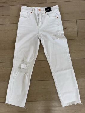 Express high rise straight leg jeans size 2 NWT